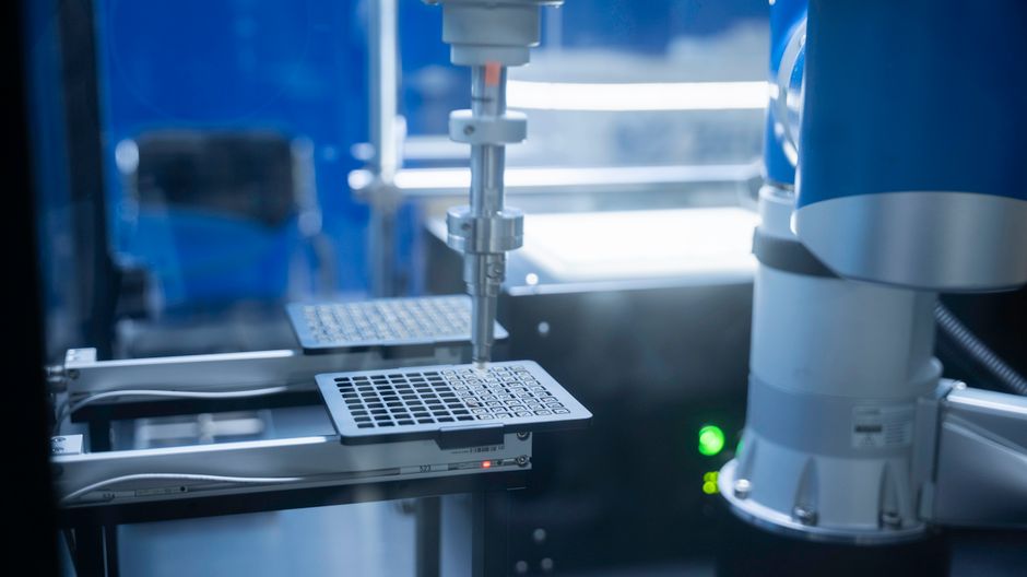 What AI Automation Workflow Should a Small Business Automate First?