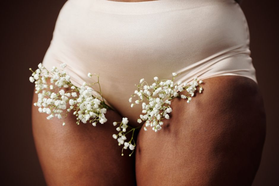 What Organs Are in the Female Pelvis, and How Do the Systems Differ?