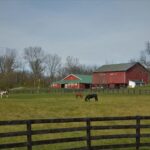 Discover the Rewards of Farm Stays and Rural Travel Experiences