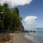 Eco-Friendly Island Destinations: Sustainable Escapes for Conscious Travelers
